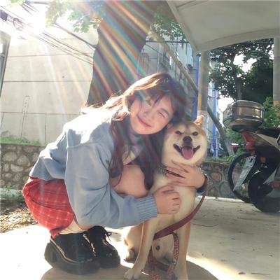 犬夜叉:红莲之蓬莱岛